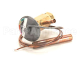 4A1135-01 Hoshizaki Expansion Valve