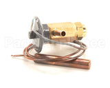 4A1135-01 Hoshizaki Expansion Valve