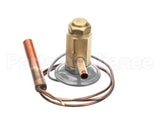 4A4597-01 Hoshizaki Valve-Expansion