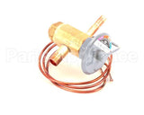 4A5161-01 Hoshizaki Valve - Expansion