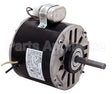 OTY1024 Regal Rexnord - Century Motors 1/4Hp 230V 1625Rpm Ccw Le 1.9A