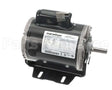 50009108 International Environmental 1/3Hp 1725Rpm 115/230V1Ph 56