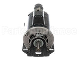 50009109 International Environmental 1/2Hp 115-208-230/1/60 Motor