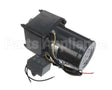 5002571-320 Ayr King Motor