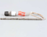 50089 Blodgett Probe,Rtd 1K W/Fitting