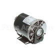 5009598 Compatible Multiplex Motor Carb Pump 120V Or 220V