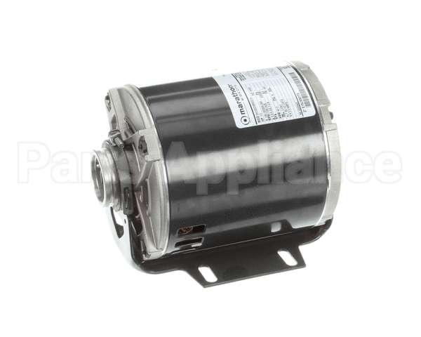 5009598 Multiplex Motor Carb Pump 120V Or 220V