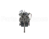 50098502 International Environmental 277/1/60 Motor