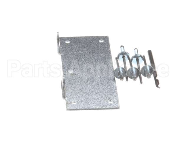 5010220 Multiplex Motor Pin Replacement Kit