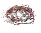 50107 Blodgett Harness,Bcx14E Manu Rear 24V