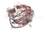50107 Blodgett Harness,Bcx14E Manu Rear 24V