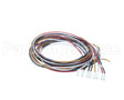 5028831 Alto Shaam Cable, Combined Gas Valve &