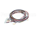 5028831 Alto Shaam Cable, Combined Gas Valve &