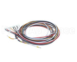 5028831 Alto Shaam Cable, Combined Gas Valve &