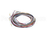 5028831 Alto Shaam Cable, Combined Gas Valve &