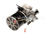 5031407 Multiplex Motor