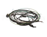 504-764C Beverage Air Harness - Wiring Sp60/72
