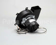 50701901 Victory Motor Blwr Warmer 208/240V