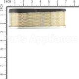 5075K Briggs & Stratton Filter-Air