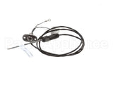 5081 Alto Shaam Probe Assembly As-250