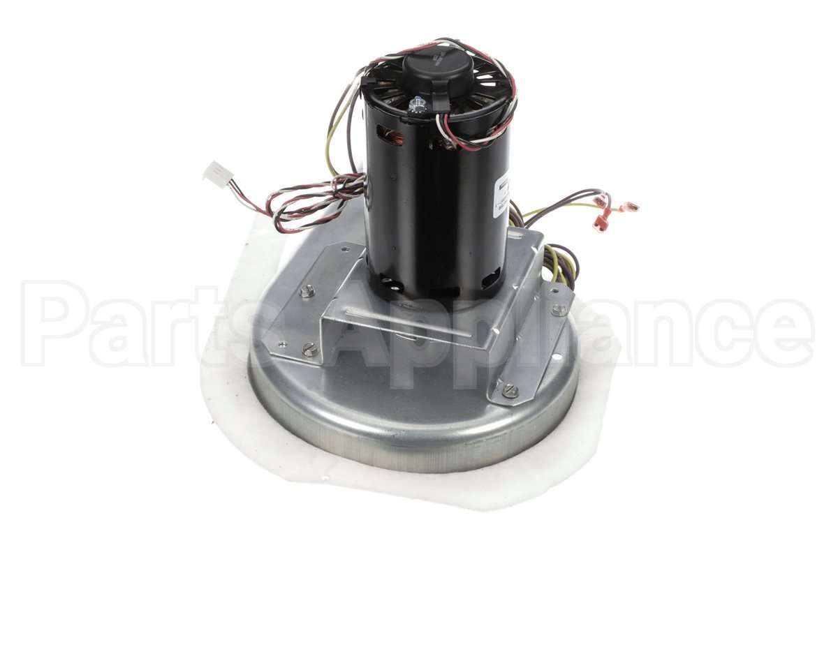 50DK406815 Bryant Payne Combustion Blower Motor