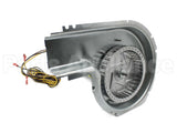 50DK406816 Carrier 460V Inducer Assembly