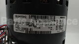 51-22858-01 Rheem-Ruud 1/2Hp 120V 1075Rpm 3Spd 48 Mtr