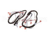 512299 Duke Harness,Proofer Lgts.&Bpr
