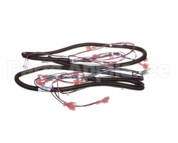512299 Duke Harness,Proofer Lgts.&Bpr