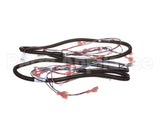 512299 Duke Harness,Proofer Lgts.&Bpr