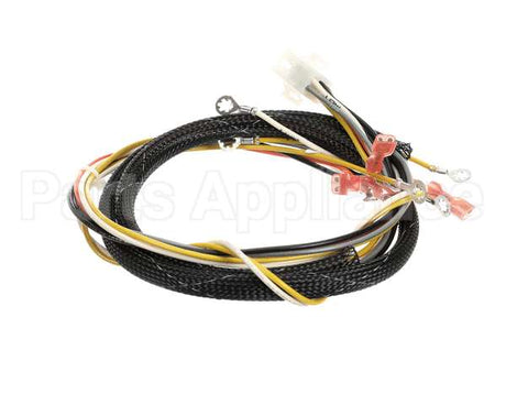 512764 Duke Harness,Proofer Tsc