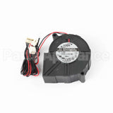 515747 Fisher Paykel Harness Rinseaid Fan Det Div