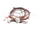 51751 Blodgett Harness,Front,Xr8-G,Ssd,2Spee