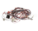 51995 Blodgett Harness,Xl50E Kfc 24V Relay Bo