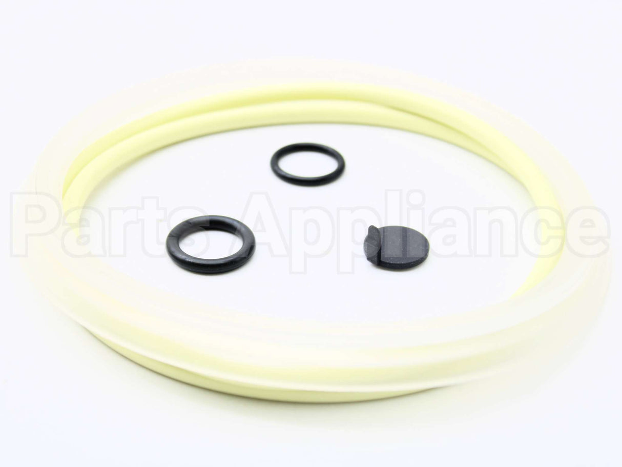 522089 Fisher Paykel Kit Seal Wash 605