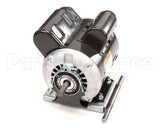 522302-SV Stoelting Motor (60 Hz) - Drive W/Mount