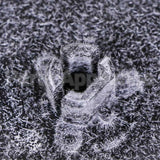 5303209769 Frigidaire Wheel-Blower