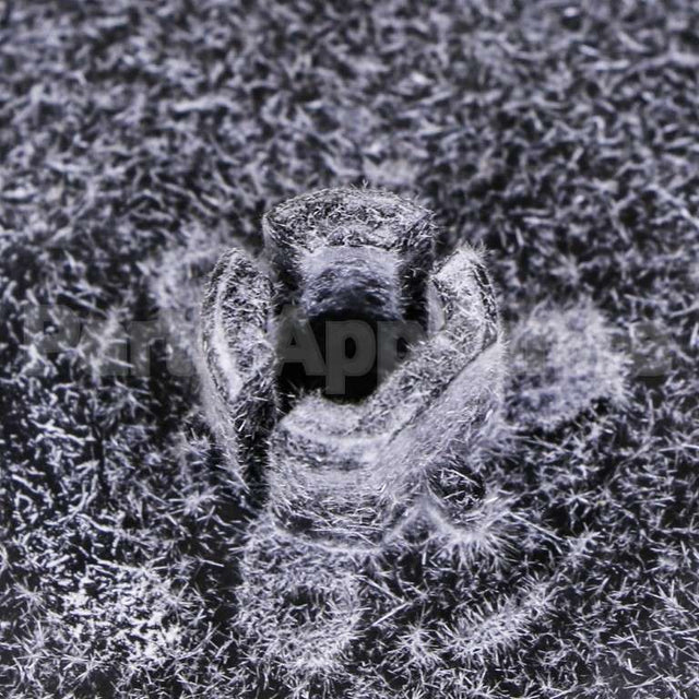 5303209769 Frigidaire Wheel-Blower