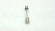 5304509451 Frigidaire Fuse