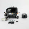 5304521562 Frigidaire Compressor