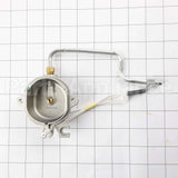 5304523876 Frigidaire Ignitor/Orifice Ass