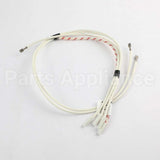 5304535516 Frigidaire Harness-Ignitor