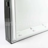 5304536922 Frigidaire Door Assembly,Freezer,Stainles