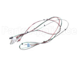 53283.0001 Bunn Wire Harness, Icb Sh Comm Board