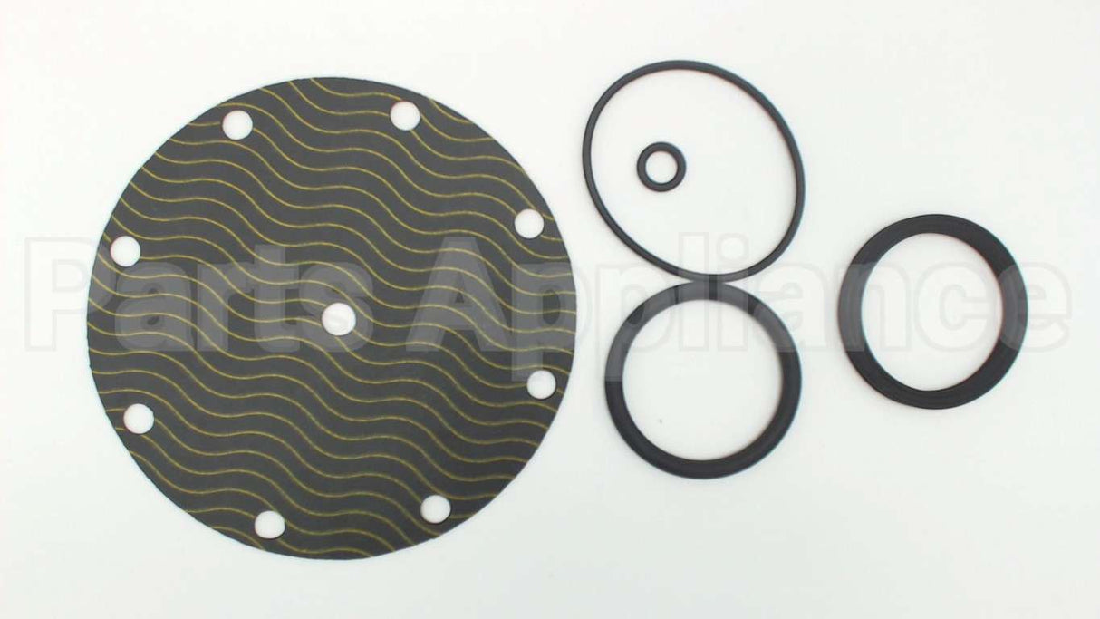 5346-01 Watts Repair Kit For 2" 116Xy