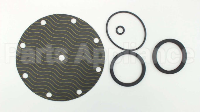 5346-01 Watts Repair Kit For 2" 116Xy