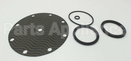 5346-01 Watts Repair Kit For 2" 116Xy