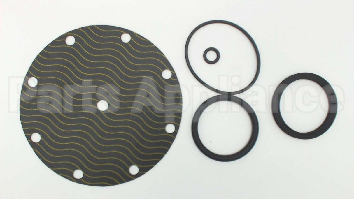 5346-01 Watts Repair Kit For 2" 116Xy