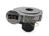 100187864 Lochinvar & A.o. Smith Blower Assembly