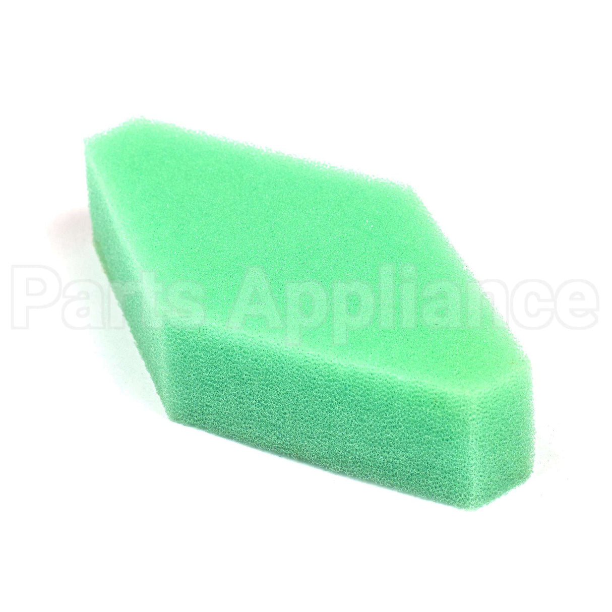 5433K Briggs & Stratton Air Filter